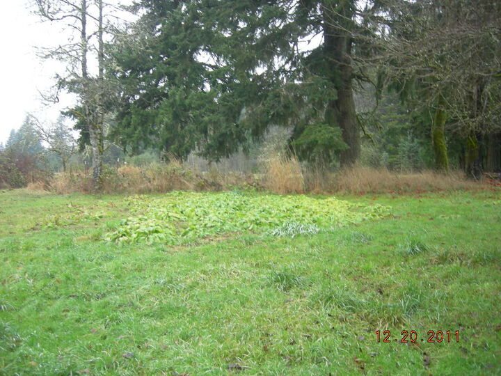 Property Photo:  1259 Koontz Rd  WA 98531 