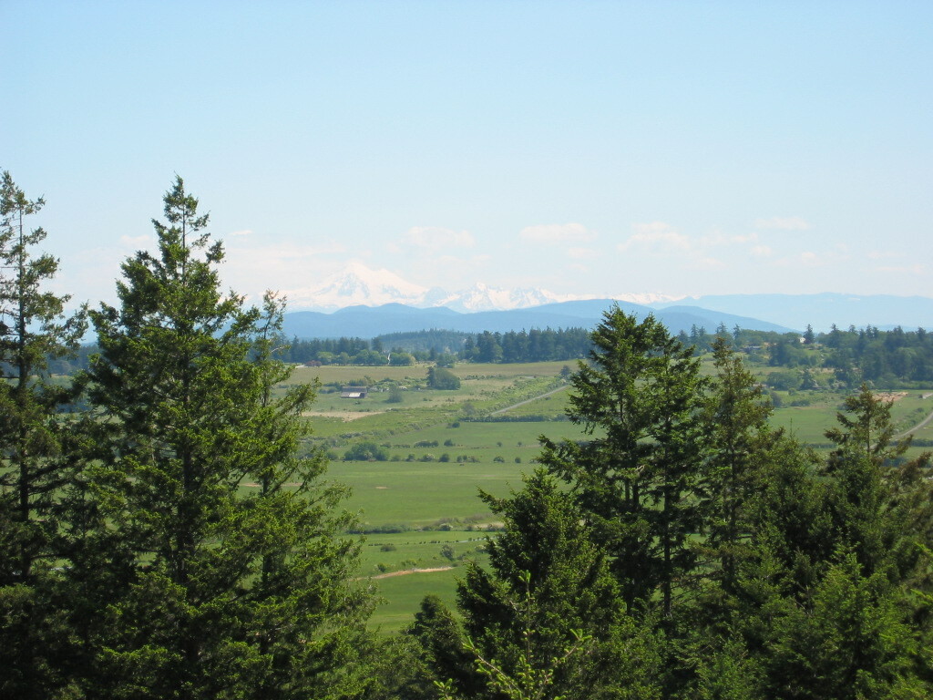 Property Photo: 229 North Star Lane WA 98250