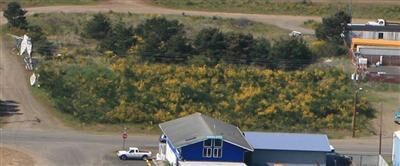 Property Photo: 034 Nyhus WA 98595