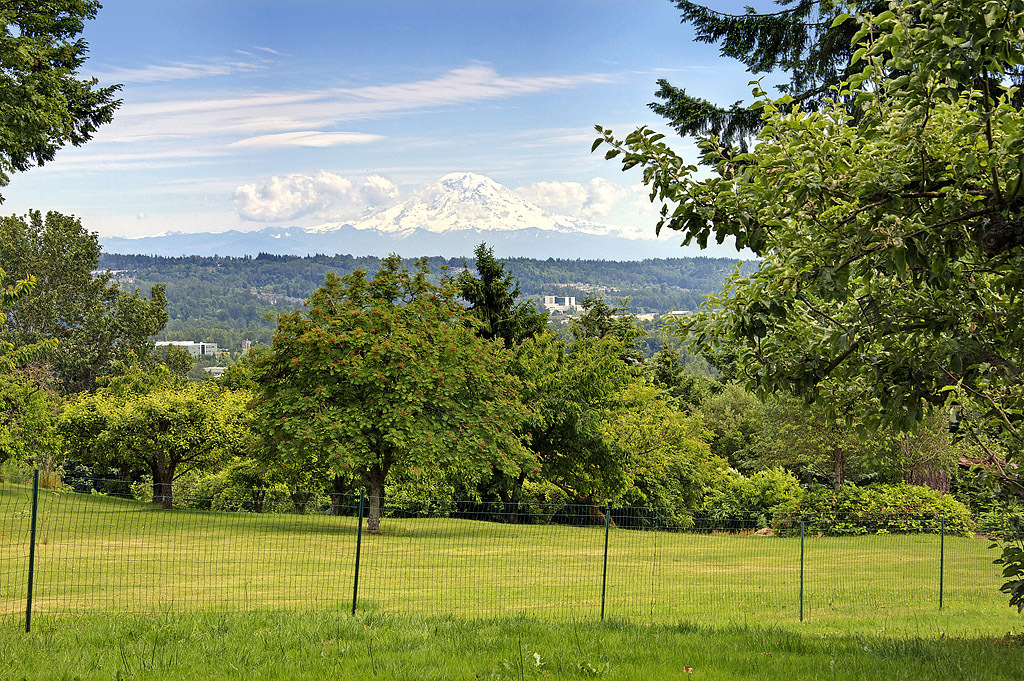 Property Photo: 7231 S 135th St WA 98178