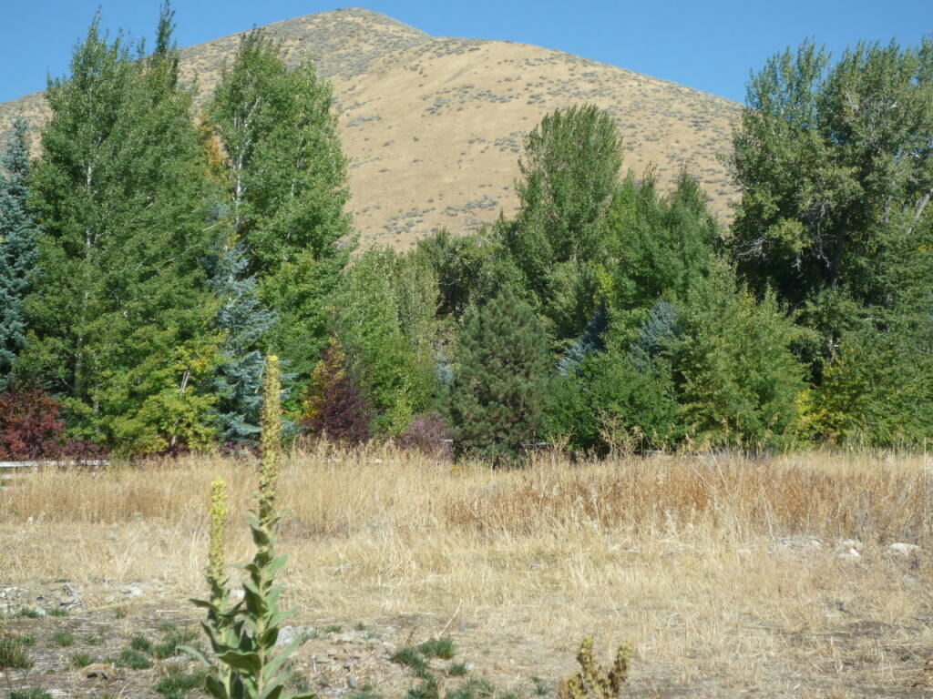 Property Photo: 1020 Quigley ID 83333