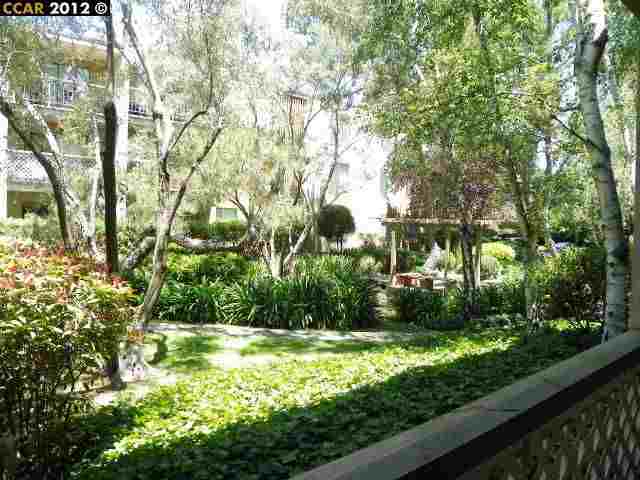 Property Photo: 460 N Civic Dr 102 CA 94596