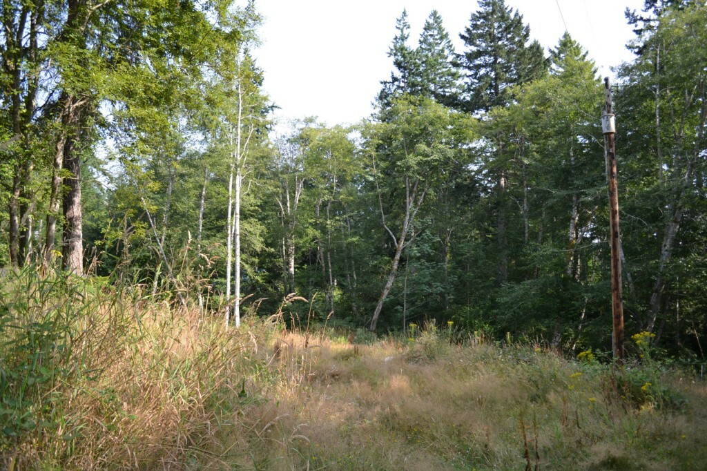 Property Photo:  0 Hemlock  WA 98376 