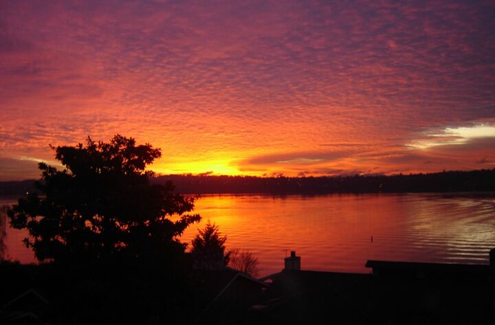 2413 60th Ave SE  Mercer Island WA 98040 photo