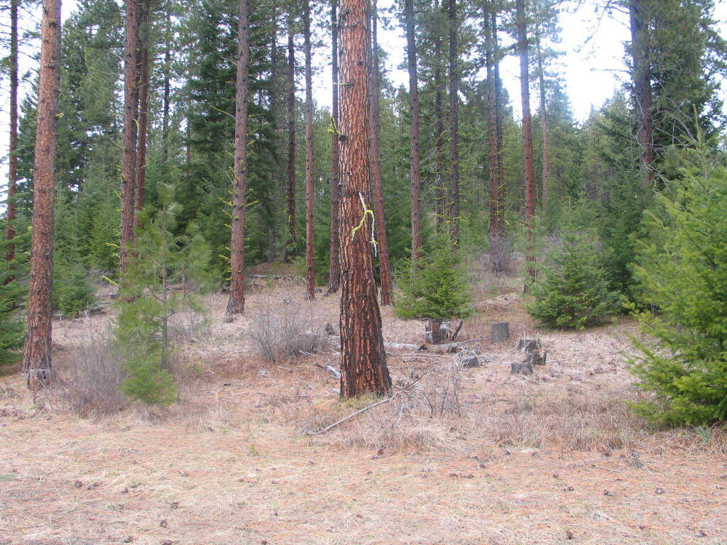 Property Photo:  1910 Coal Mine Wy  WA 98922 