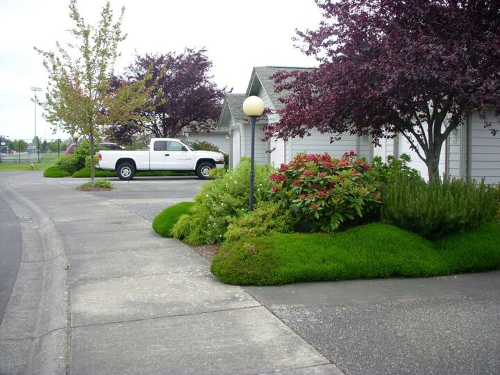 Property Photo: 517 W Kellogg Rd WA 98225