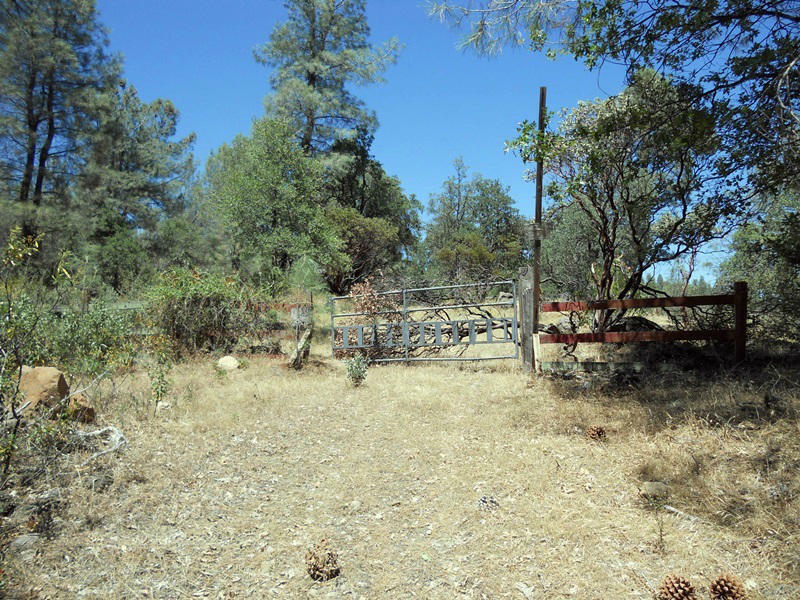 Property Photo:  53 Ac Backbone Rd  CA 96008 