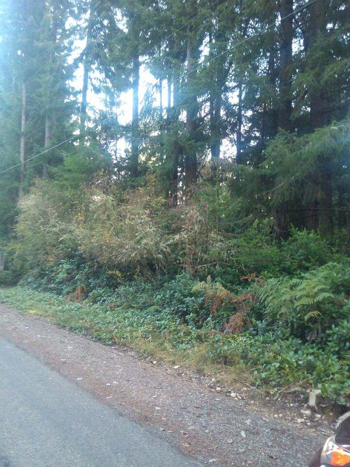 1234 Culver Rd  Olalla WA 98359 photo