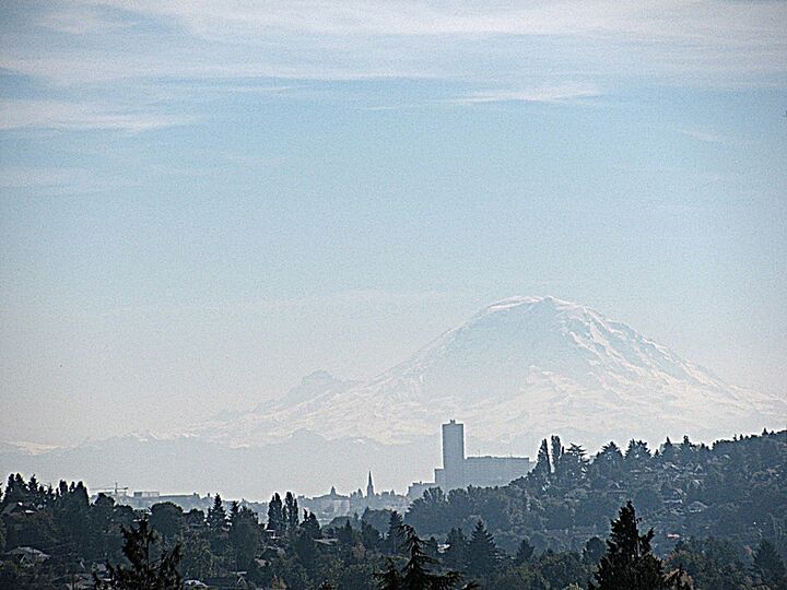 Property Photo: 1408 NW 67th St C WA 98117