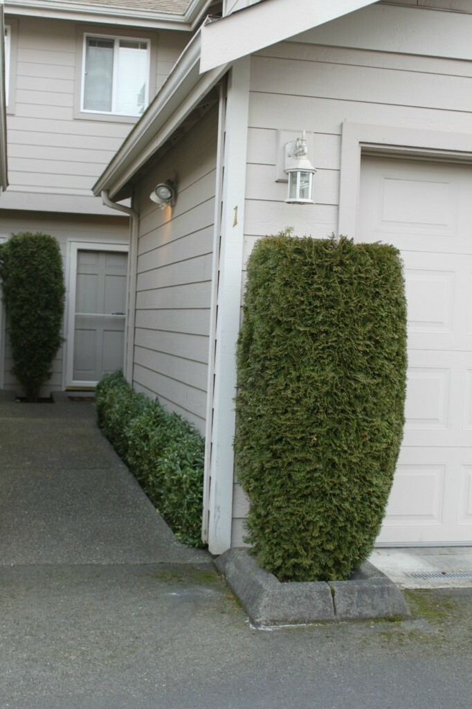 Property Photo:  21311 76th Ave W 1  WA 98026 