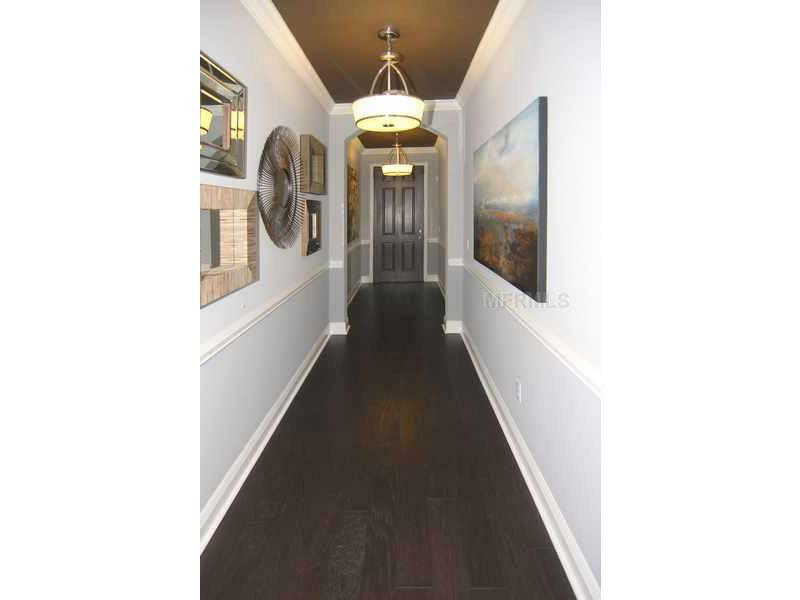 Property Photo: 6511 Nestall Court FL 33572