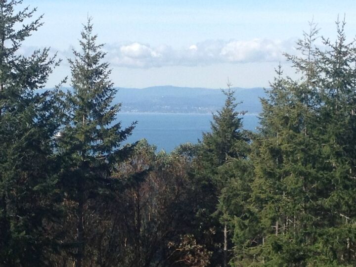 Property Photo: 0 Lucky Wy WA 98250