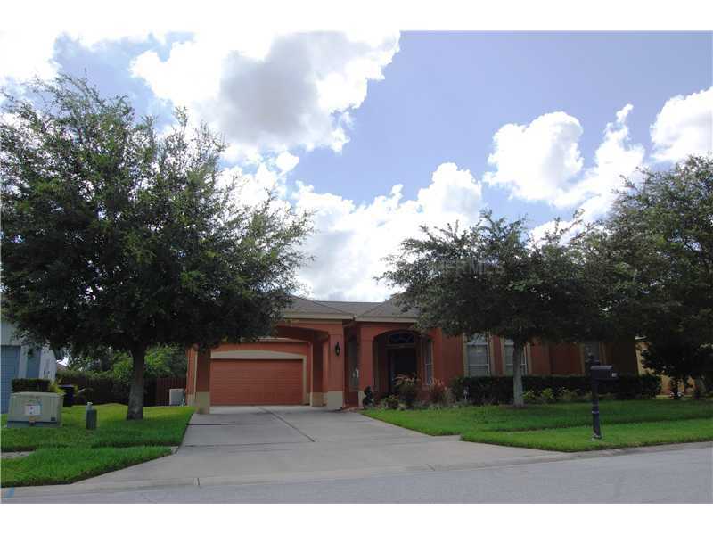 Property Photo:  217 Belhaven Falls Drive  FL 34761 