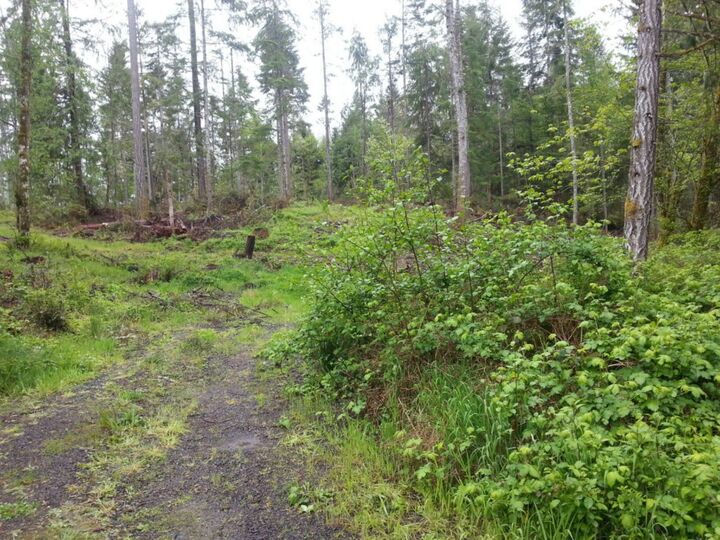 Property Photo: 302 Victor Rd WA 98528