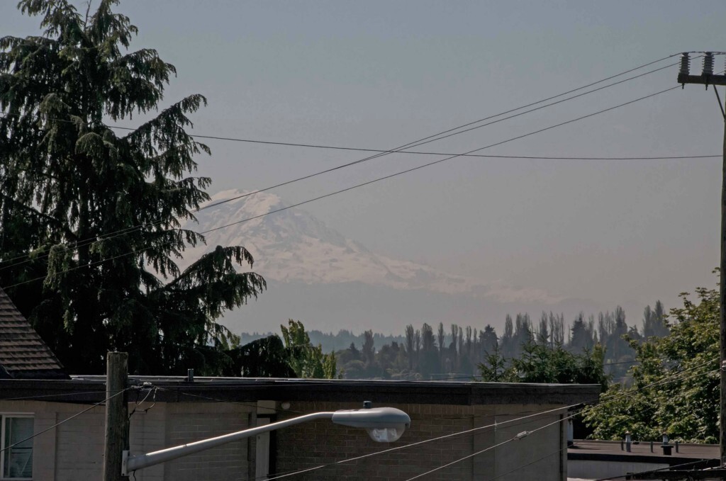 Property Photo: 1337 14th Ave S B WA 98144