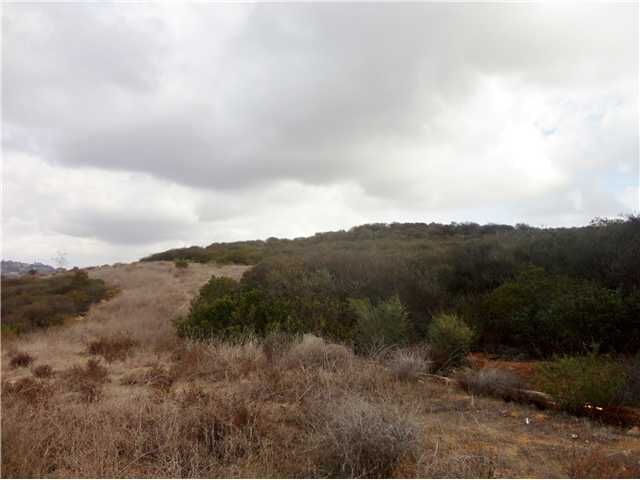 Property Photo:  00 Wild Willow Hollow Road 15  CA 92029 