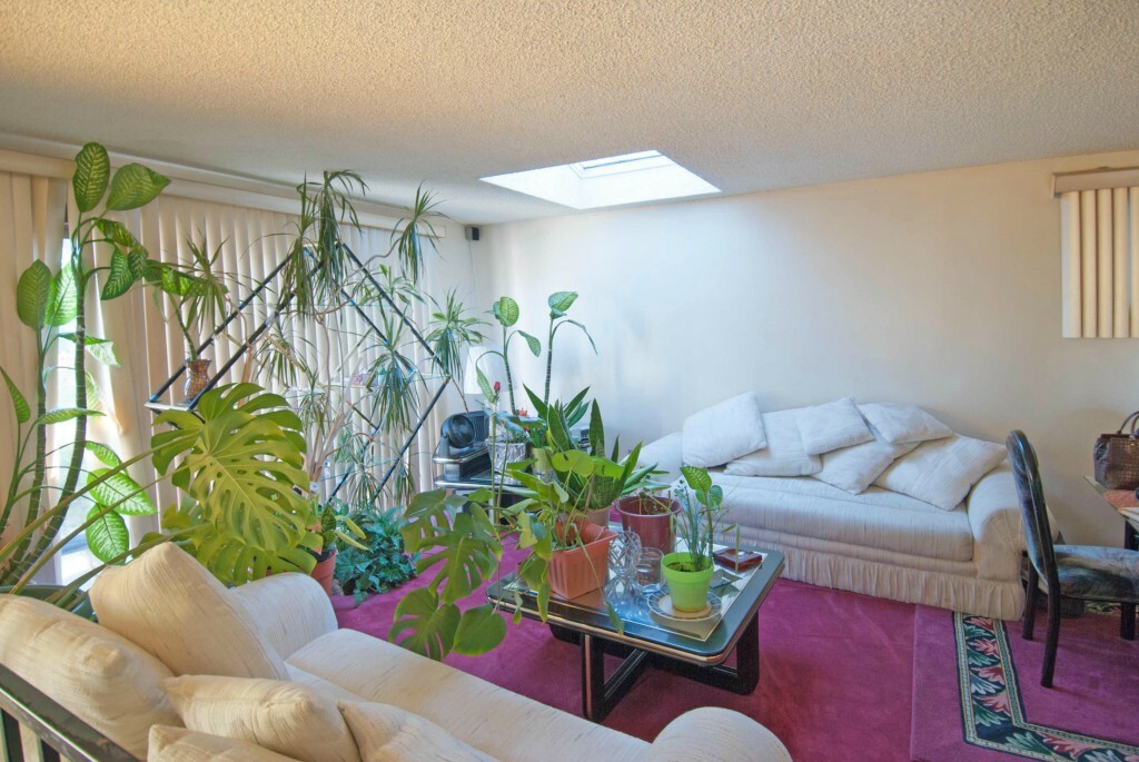 Property Photo:  2022 S Dearborn St  WA 98144 