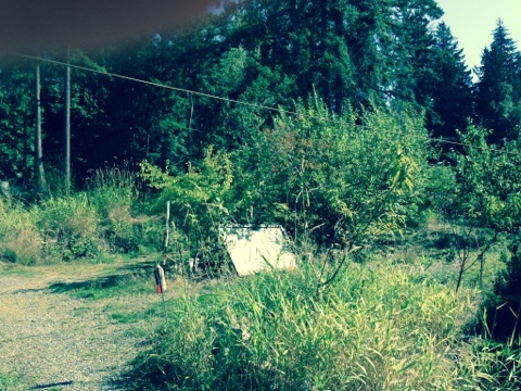Property Photo: 3620 Vining St WA 98226