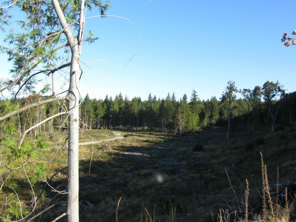 Property Photo:  0 North Pass Rd  WA 98247 