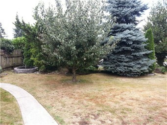 Property Photo:  124 O St NE  WA 98002 