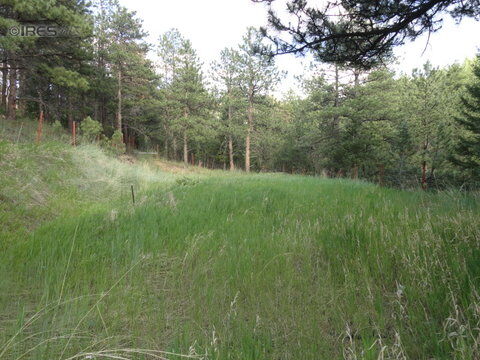 Property Photo: 0 Antler Dr CO 80302