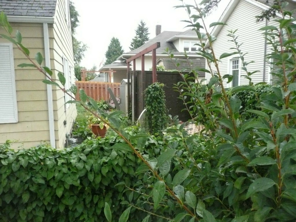 Property Photo:  2311 19th St  WA 98201 