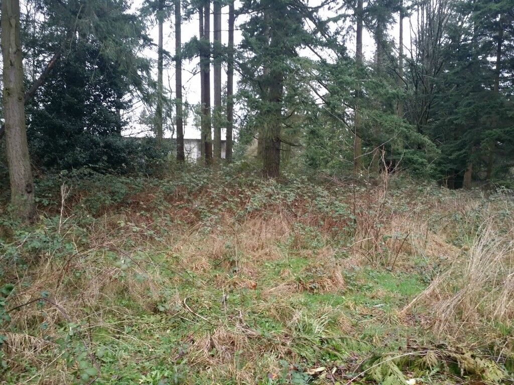 Property Photo:  6109  208th Street SW  WA 98036