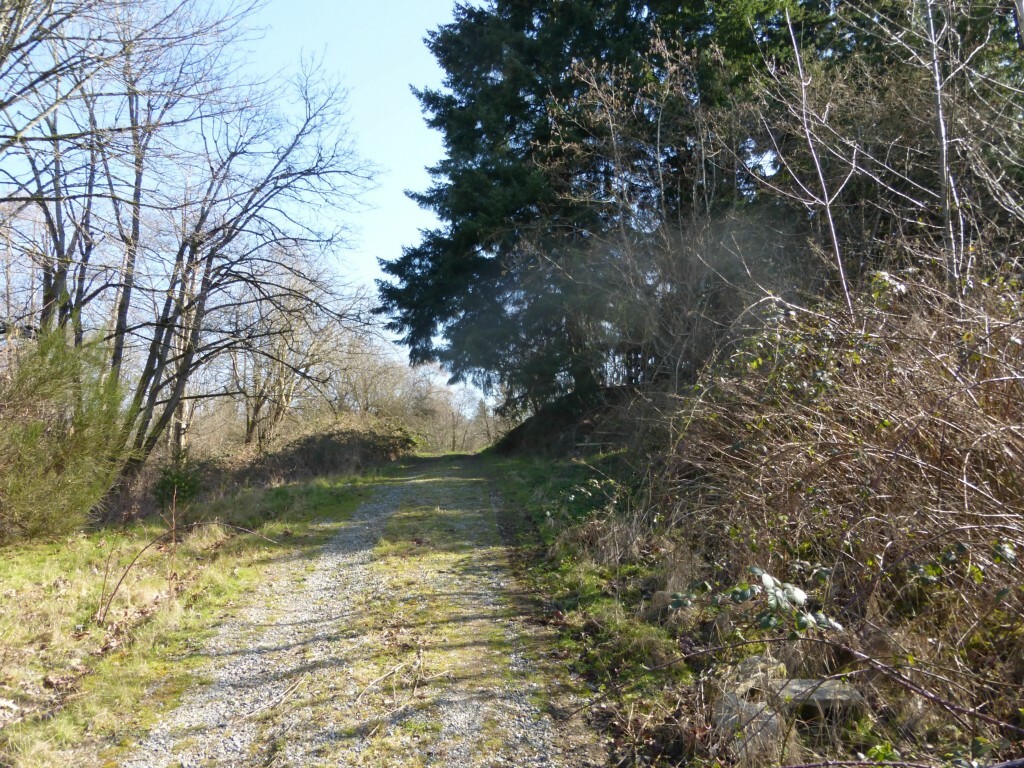 Property Photo: 160 118th Ave SE WA 98005