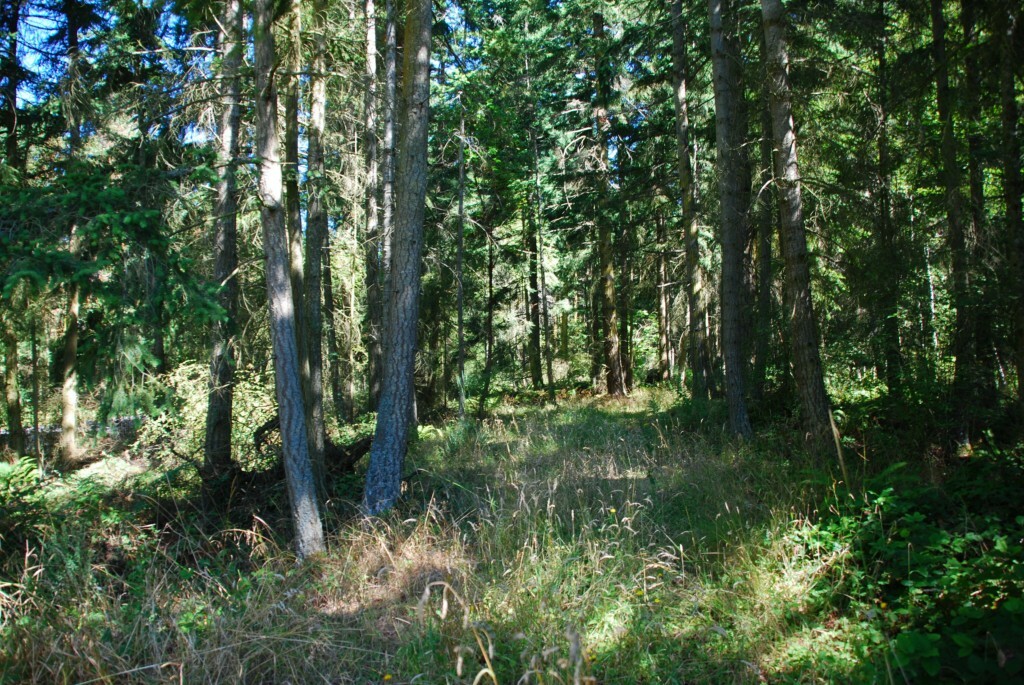 Property Photo:  0 Highway 20  WA 98368 