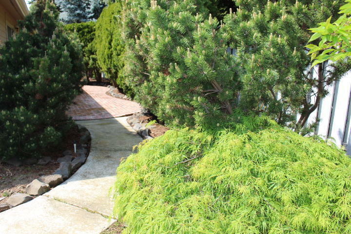 Property Photo: 1216 Madison St WA 98801