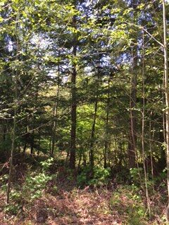 Property Photo: 69540 Ne130th St WA 98334