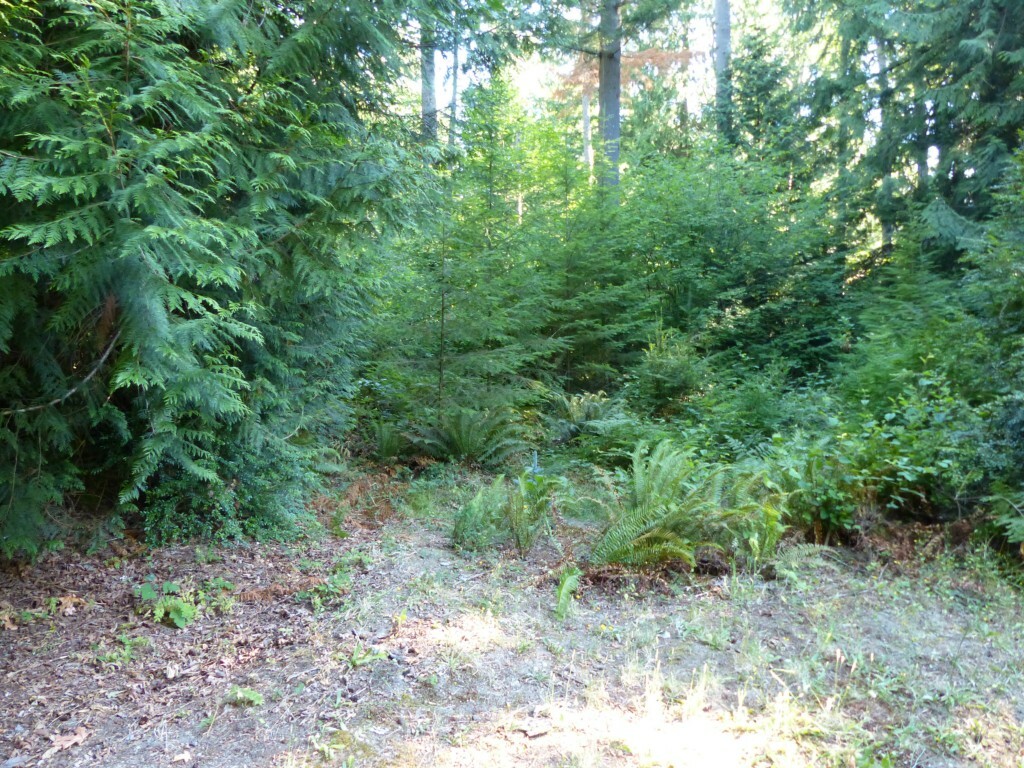 Property Photo:  0 Battle Point Rd NE  WA 98110 