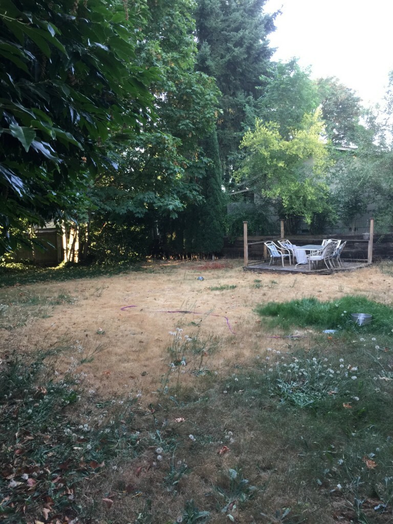 Property Photo:  12036 SE 42nd Ct  WA 98006 