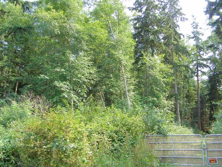 Property Photo: 0 Lake Mastie Rd WA 98239