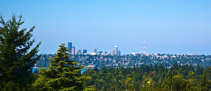 Property Photo:  1315 94th Ave NE  WA 98004 