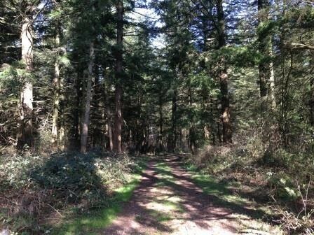 Property Photo:  2150 Vandyk  WA 98247 