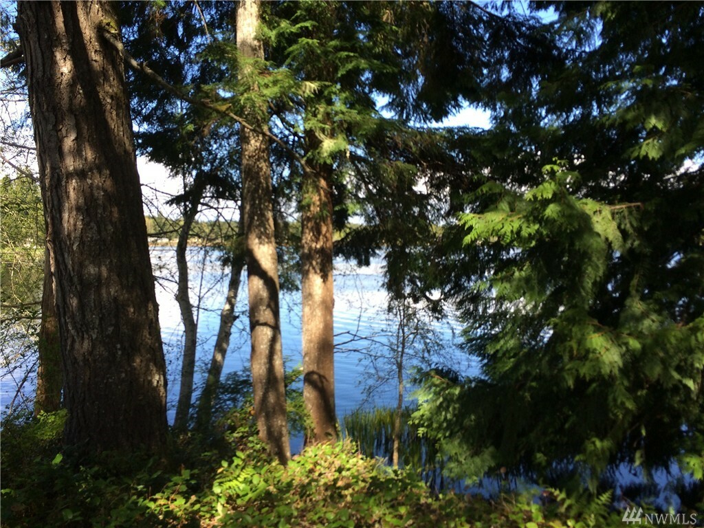 Property Photo: 0 W Star Lake Dr WA 98541