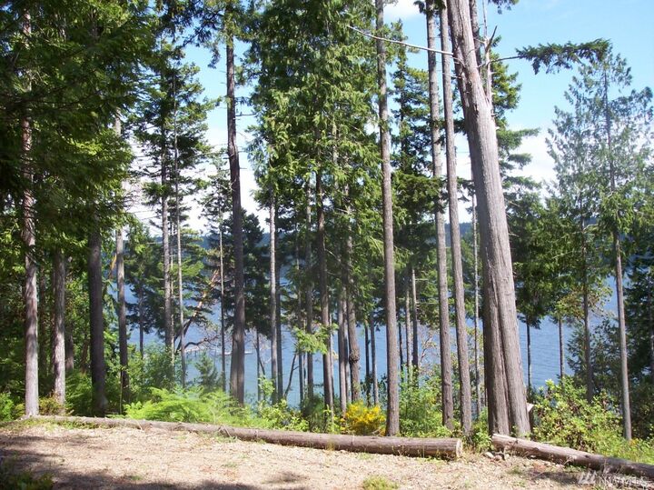 Property Photo: 0 Lot B US Highway 101 WA 98548