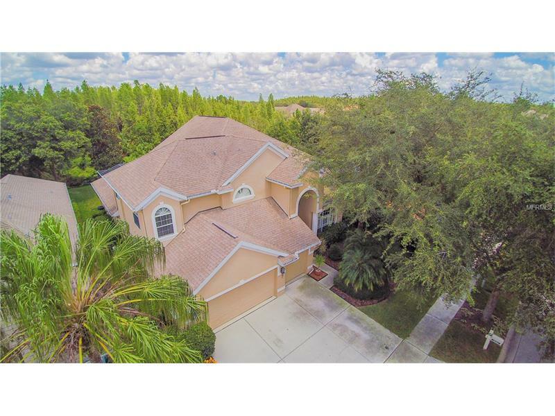 Property Photo: 10164 Deercliff Drive FL 33647