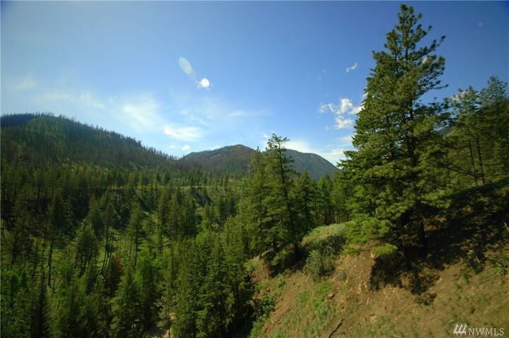Property Photo:  94 South Fork Gold Creek Rd  WA 98814 