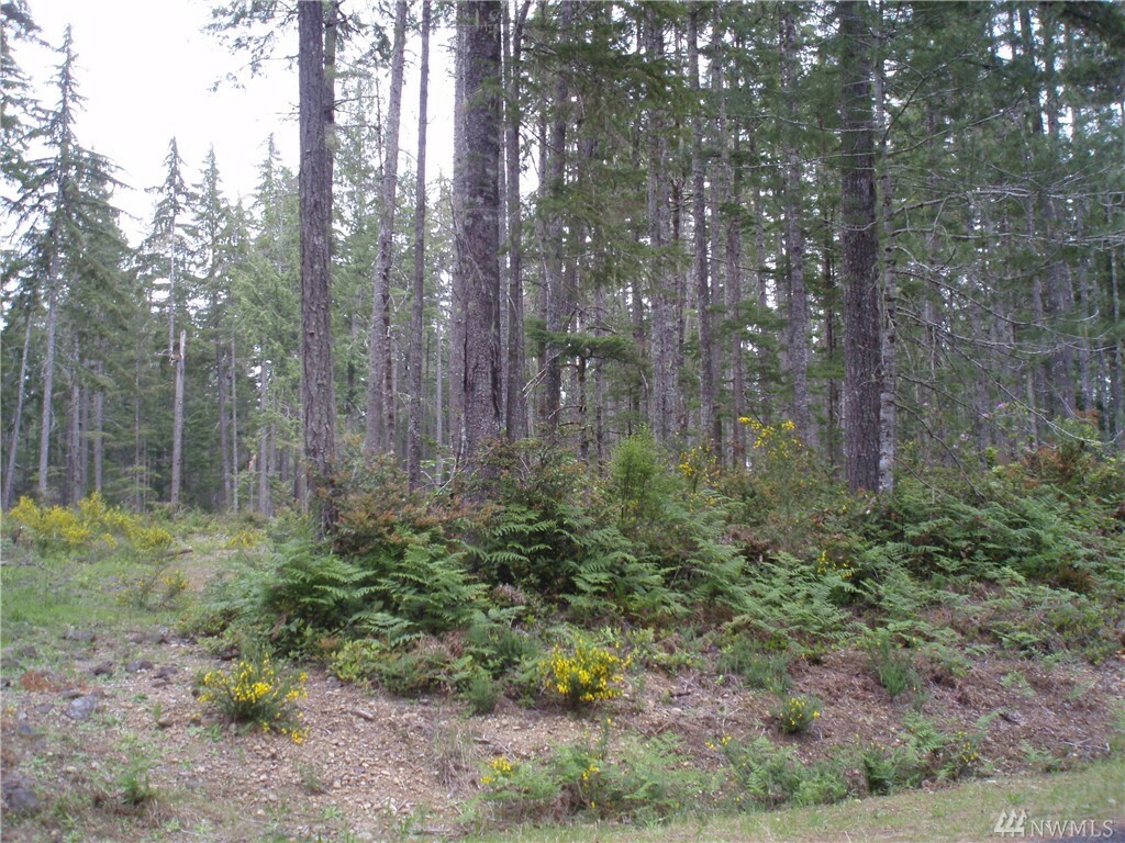 Property Photo:  10 Acres Lake Christine Rd  WA 98588 