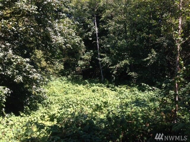 Property Photo: 463 3rd Court WA 98333