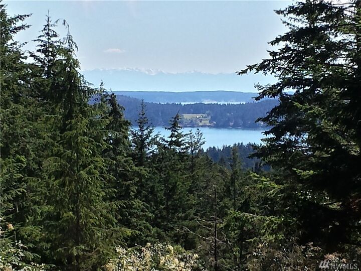 Property Photo:  57 Xx Cow Hill Rd  WA 98279 