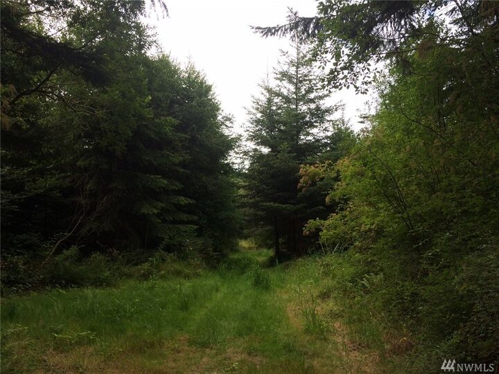 Property Photo:  0 Periphas Dr  WA 98277 