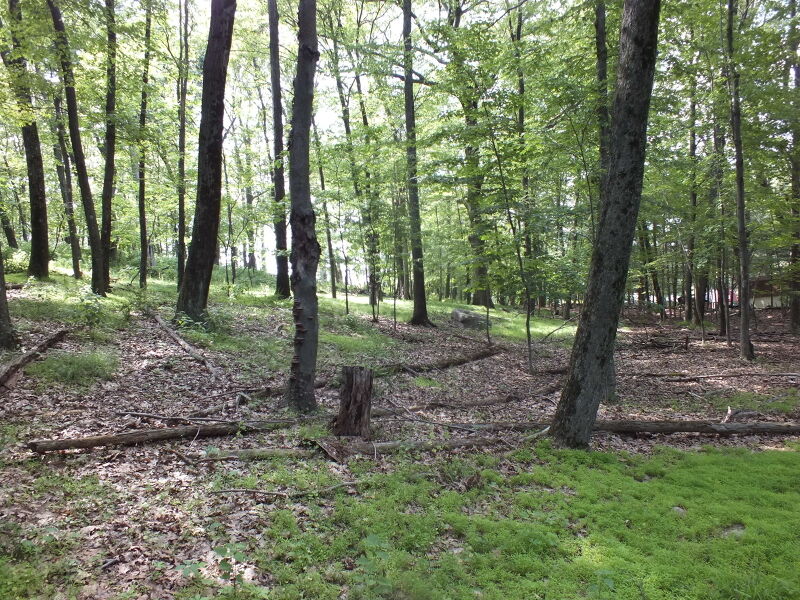 Property Photo: 55 Jacobs Rd NJ 07866