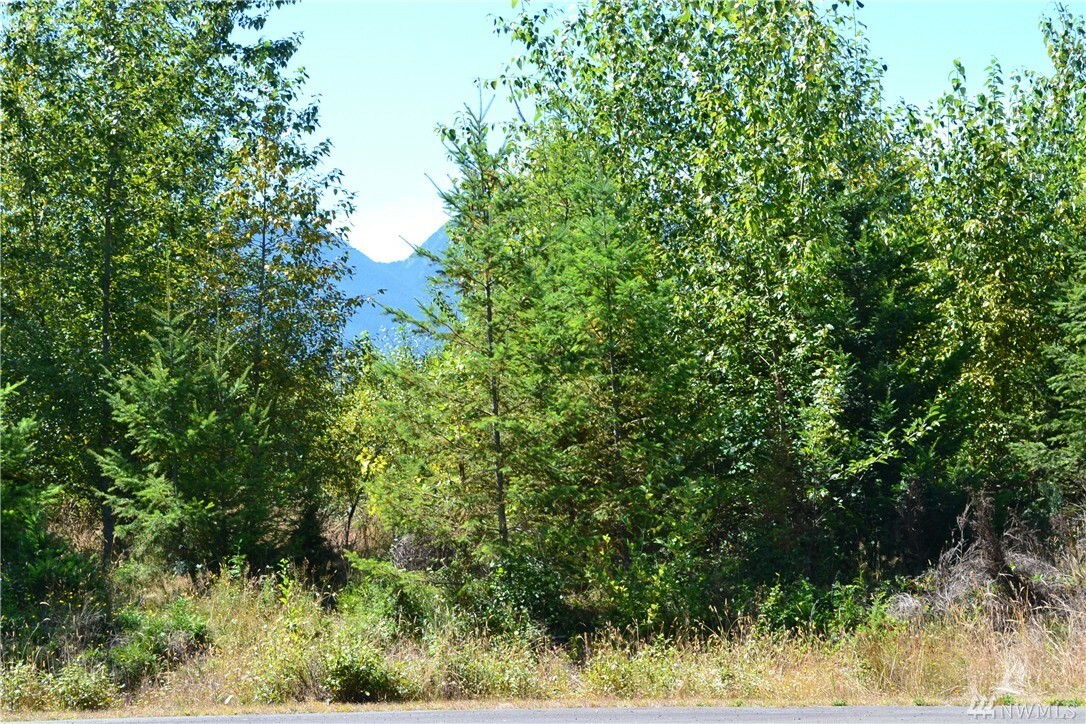 Property Photo:  13 Lot Merrill Wy  WA 98362 