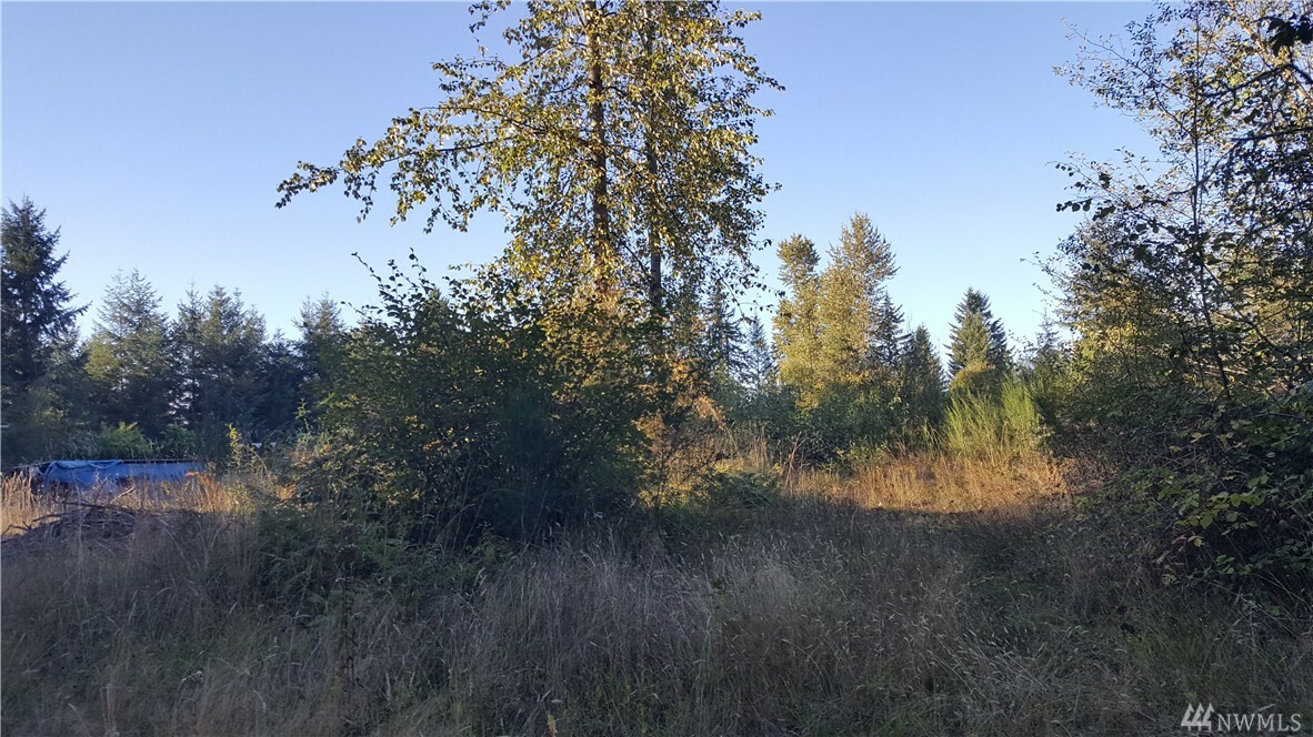 Property Photo: 403 Reflection Lane SE WA 98576