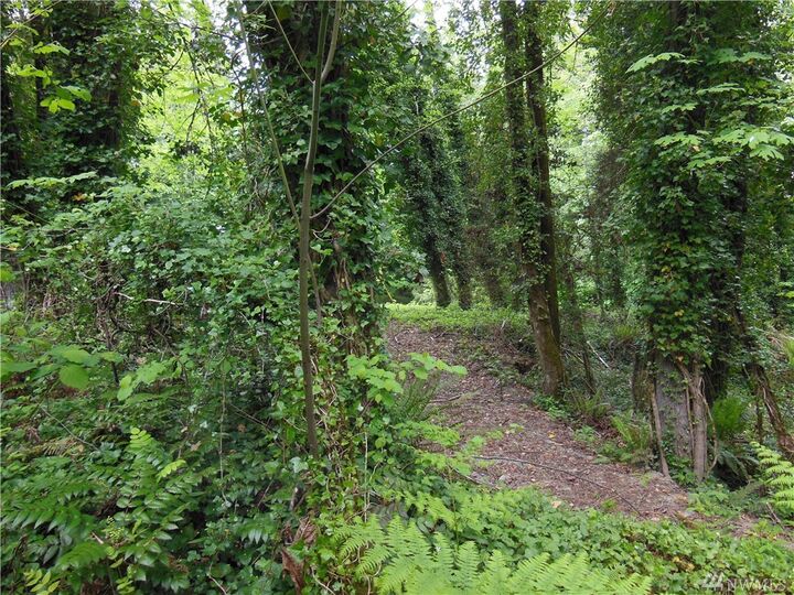 Property Photo:  Xx Bowman Ave NW  WA 98502 