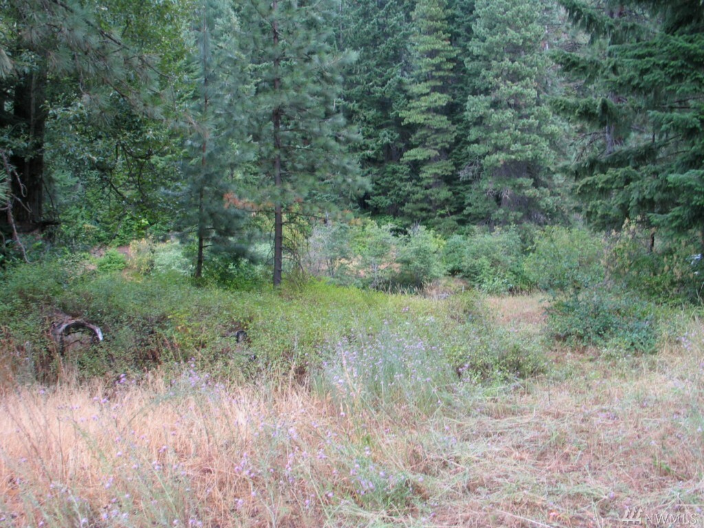 Property Photo:  0 Hummingbird Lane  WA 98922 