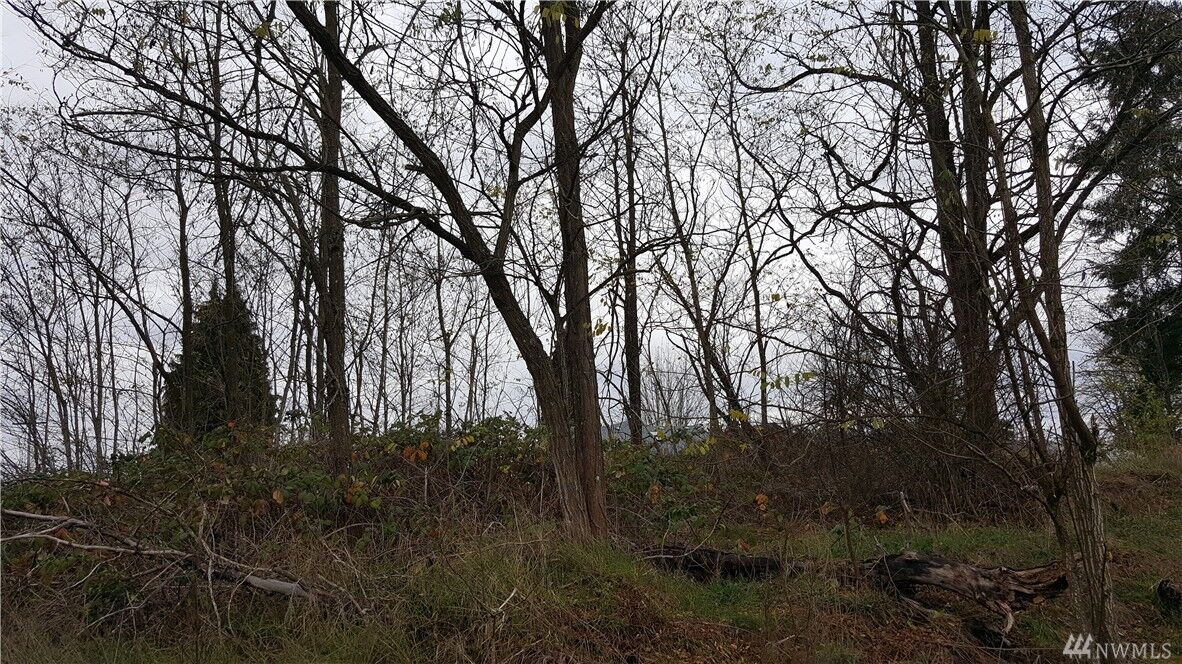 Property Photo:  Xxx Washington St  WA 98597 